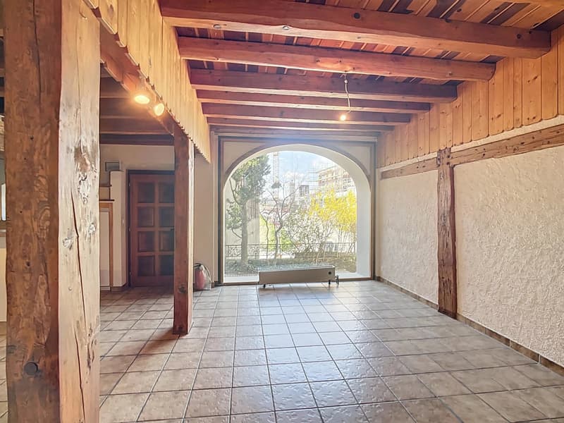 PORTES OUVERTES le 9 septembre 2026 - Appartement de charme avec terrasse privative de 25 m² (8)