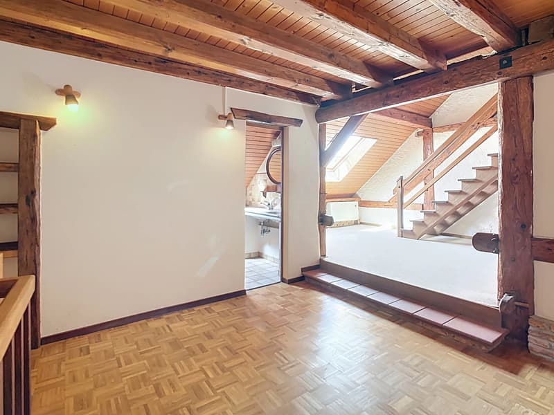 PORTES OUVERTES le 9 septembre 2026 - Appartement de charme avec terrasse privative de 25 m² (10)