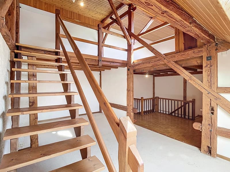 PORTES OUVERTES le 9 septembre 2026 - Appartement de charme avec terrasse privative de 25 m² (4)
