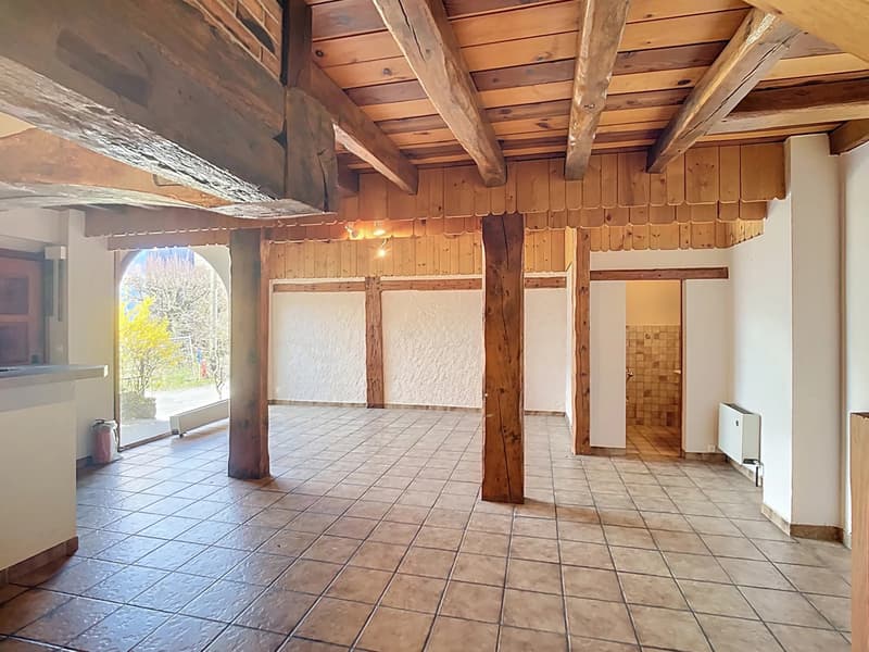 PORTES OUVERTES le 9 septembre 2026 - Appartement de charme avec terrasse privative de 25 m² (2)