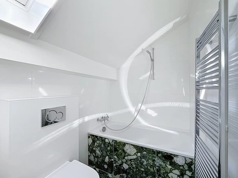 Élégant appartement de 2.5 pièces entièrement rénové (8)