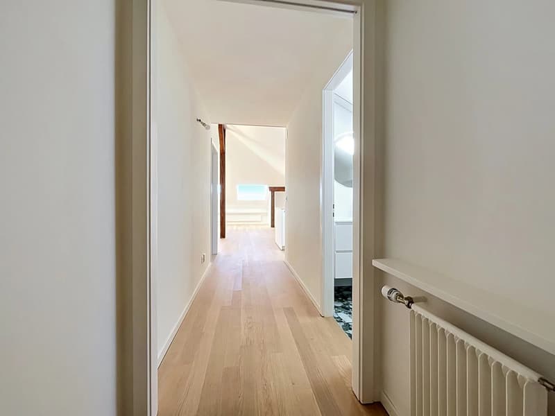 Élégant appartement de 2.5 pièces entièrement rénové (4)