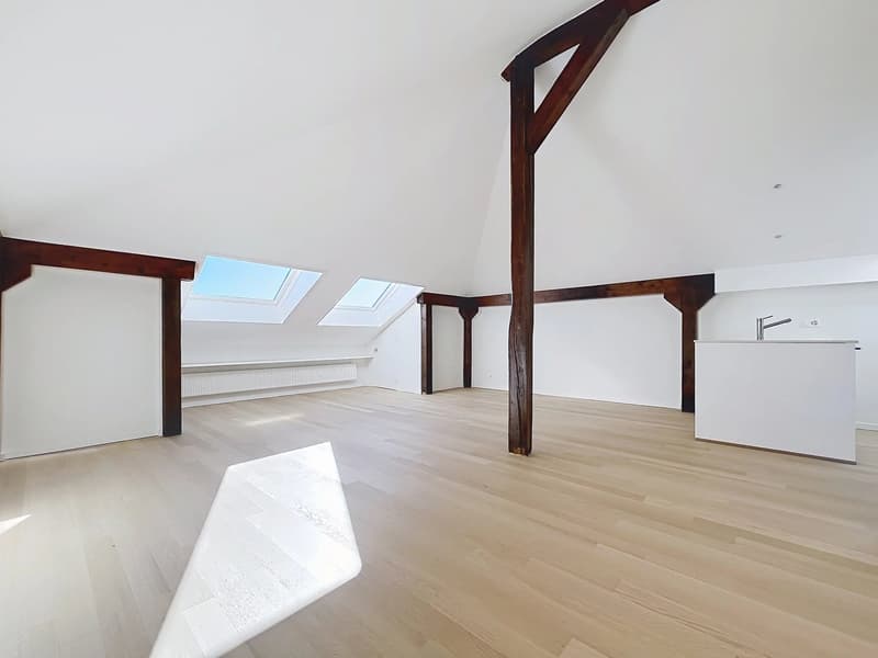 Élégant appartement de 2.5 pièces entièrement rénové (3)