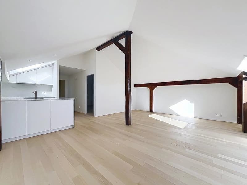 Élégant appartement de 2.5 pièces entièrement rénové (10)