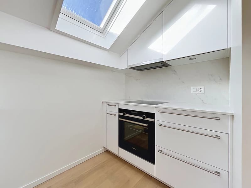 Élégant appartement de 2.5 pièces entièrement rénové (5)