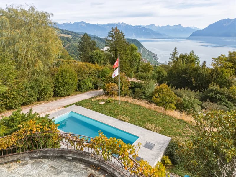 Maison de 6,5 pièces sur 1'654 m² avec vue lac et Alpes (3)