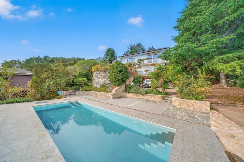 Maison de 6,5 pièces sur 1'654 m² avec vue lac et Alpes (1)