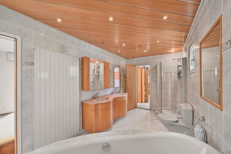 Maison de 6,5 pièces sur 1'654 m² avec vue lac et Alpes (13)