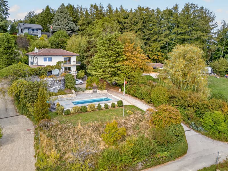 Maison de 6,5 pièces sur 1'654 m² avec vue lac et Alpes (2)