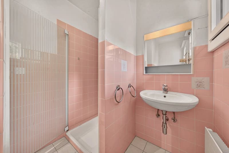 Maison de 6,5 pièces sur 1'654 m² avec vue lac et Alpes (6)