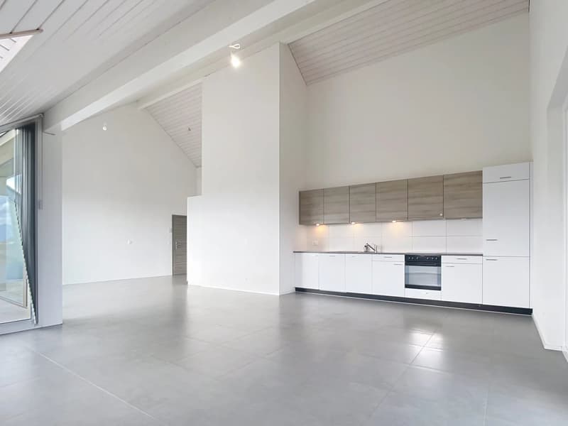 Attique de 103 m2 avec grand balcon (8)