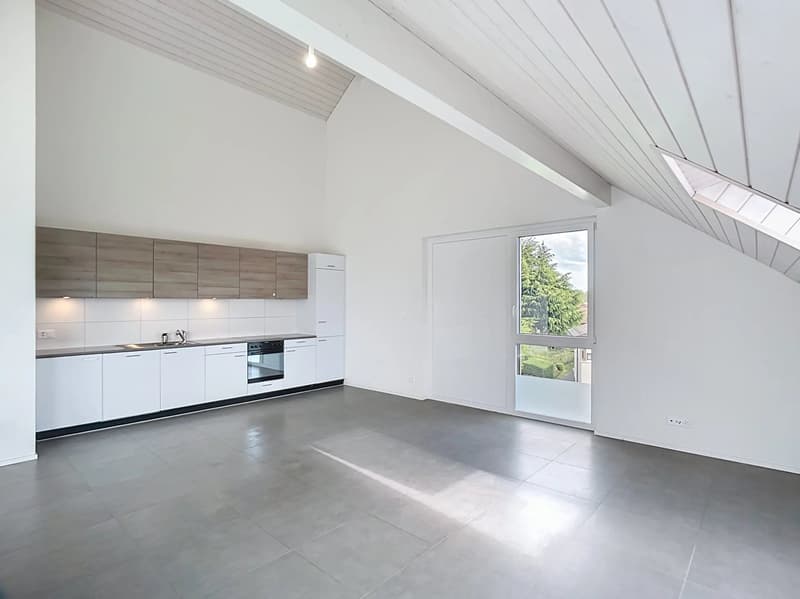 Attique de 103 m2 avec grand balcon (5)