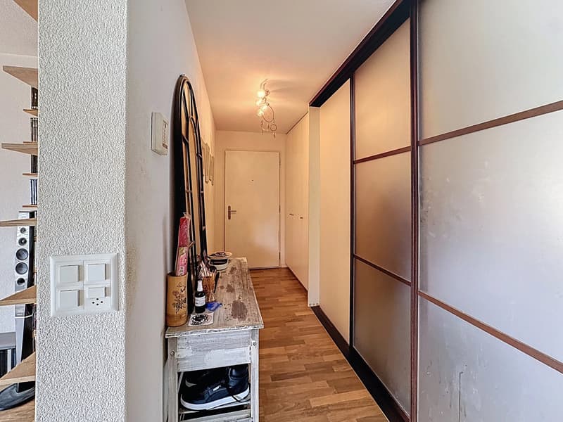 Appartement atypique avec grands espaces de vie et beaucoup de charme (4)