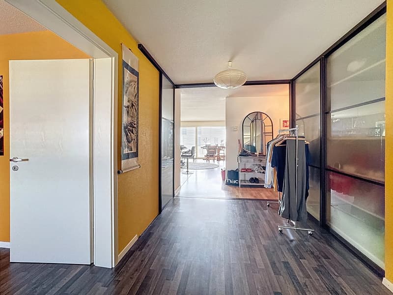 Appartement atypique avec grands espaces de vie et beaucoup de charme (5)