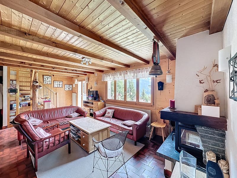 Chalet familial / Portes du Soleil / les Crosets (4)