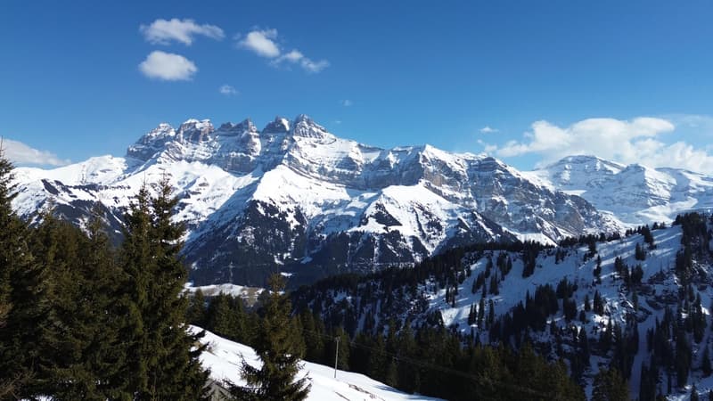 Chalet familial / Portes du Soleil / les Crosets (2)