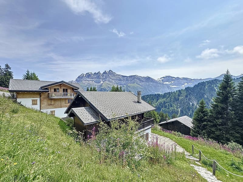 Chalet familial / Portes du Soleil / les Crosets (8)