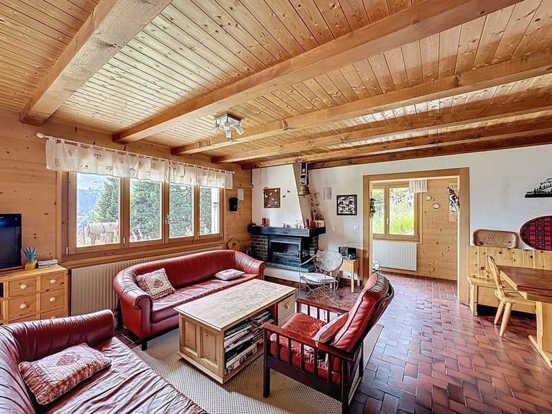 Chalet familial / Portes du Soleil / les Crosets (6)