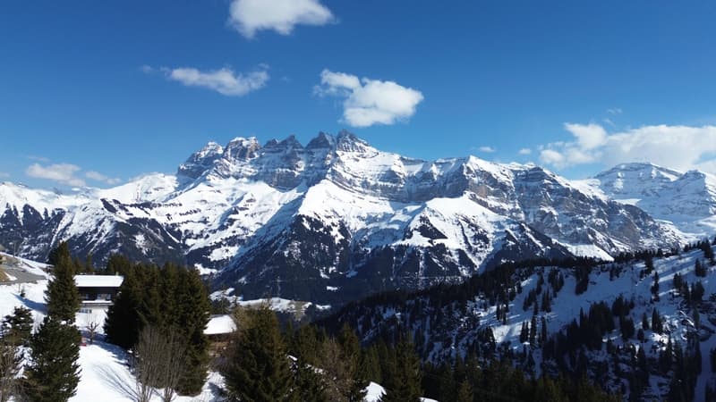 Chalet familial / Portes du Soleil / les Crosets (13)