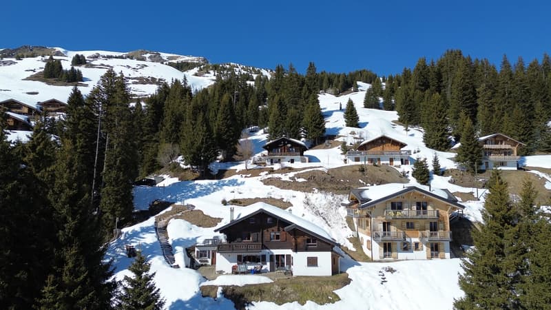 Chalet familial / Portes du Soleil / les Crosets (3)