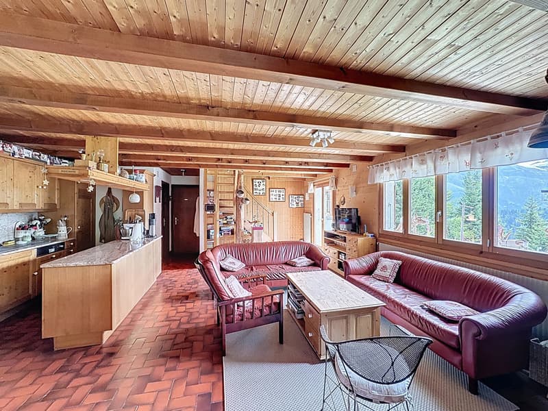 Chalet familial / Portes du Soleil / les Crosets (5)