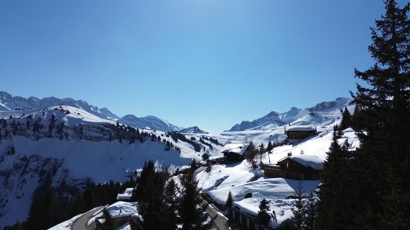 Chalet familial / Portes du Soleil / les Crosets (12)