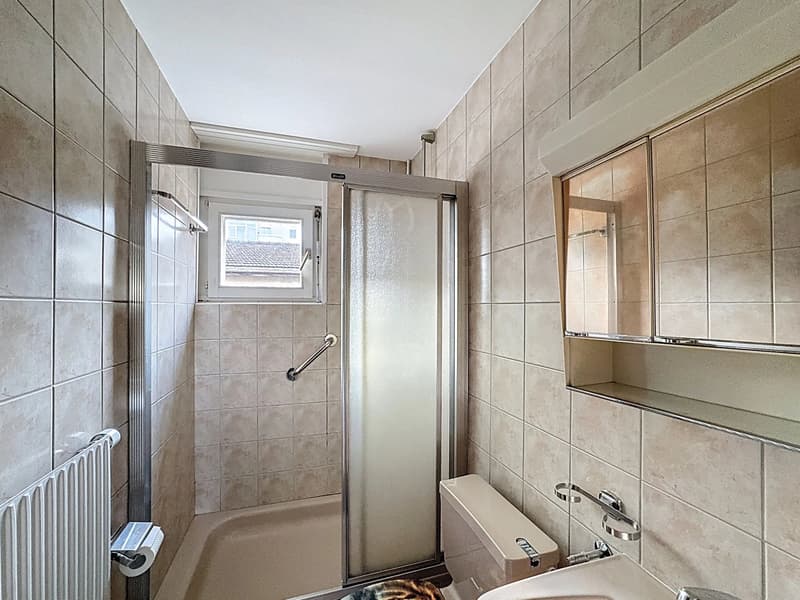 Immeuble polyvalent idéal investisseur (8)