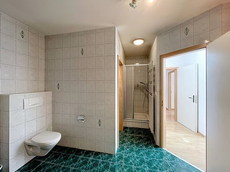 Maison familiale spacieuse dans quartier prisé (7)