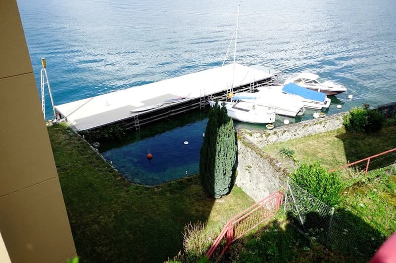 2.5 pièces dans les combles face au lac (10)