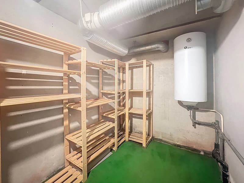 Appartement 2.5 pièces rénové à Torgon (7)