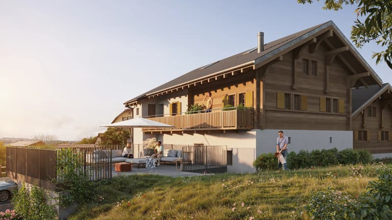 Maison de village individuelle (2)