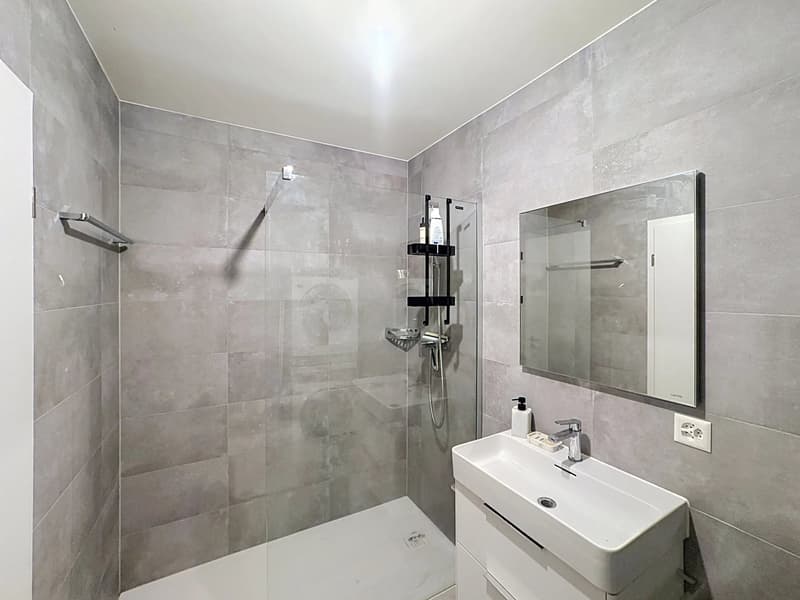Grand studio dans un immeuble cecb AA (6)