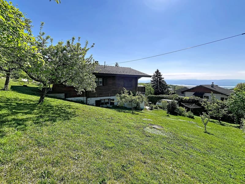Parcelle avec chalet dans un écrin de verdure et vue lac (6)