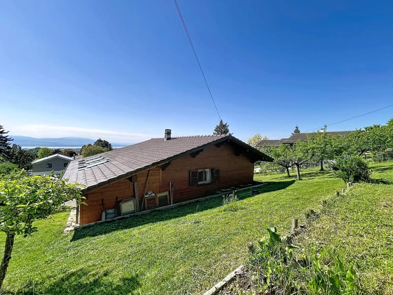 Parcelle avec chalet dans un écrin de verdure et vue lac (4)