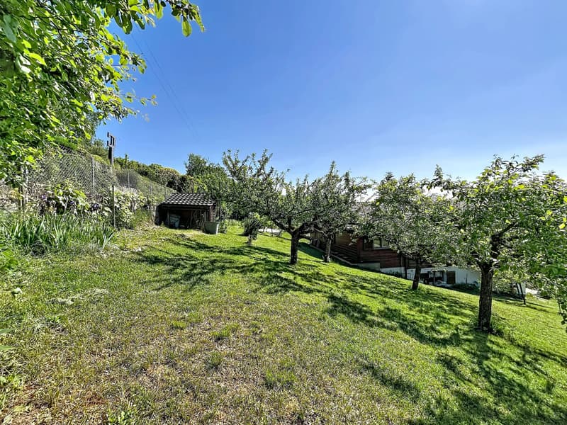 Parcelle avec chalet dans un écrin de verdure et vue lac (2)