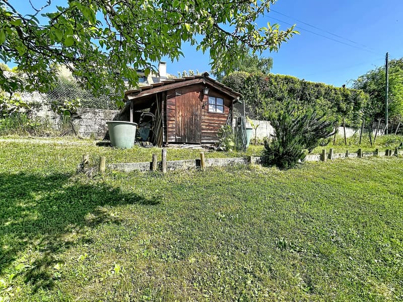 Parcelle avec chalet dans un écrin de verdure et vue lac (5)