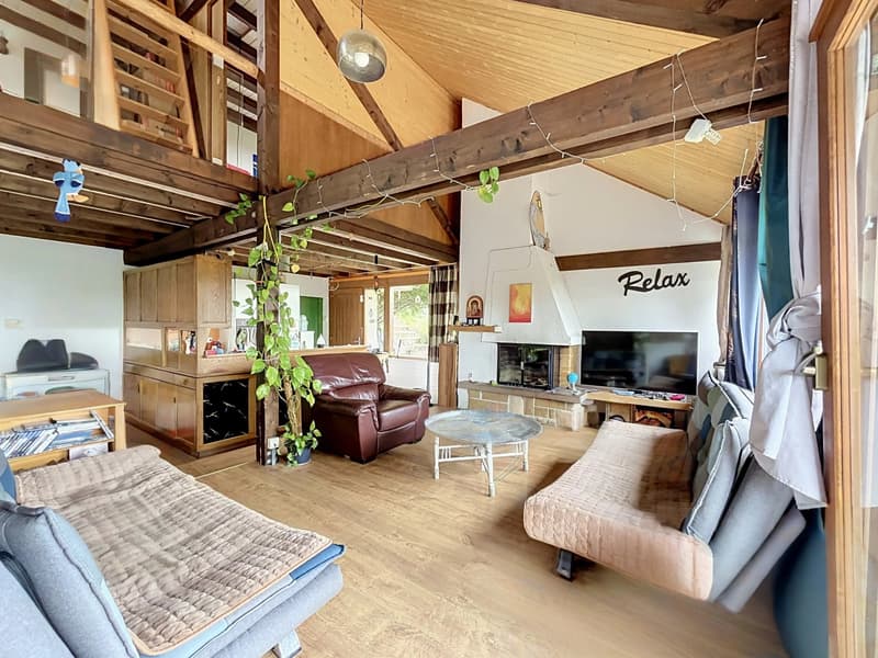 Charmant chalet au coeur d'un écrin de verdure (1)