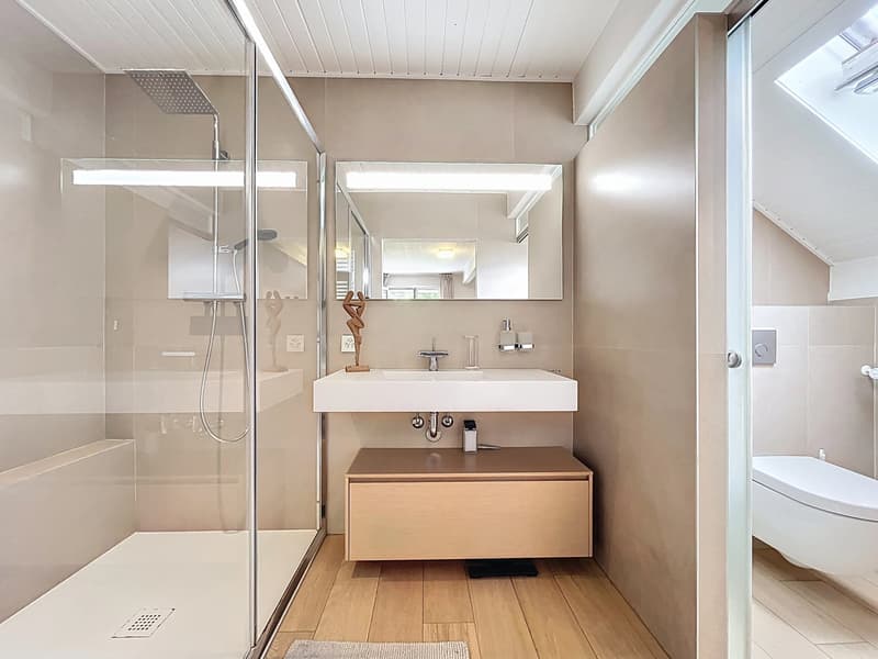 En exclusivité : Belle villa rénovée à proximité de Nyon (11)