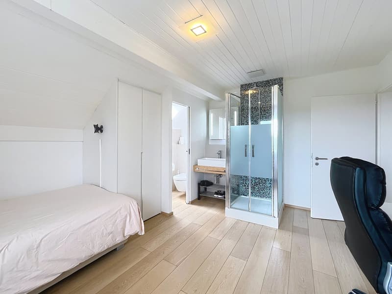En exclusivité : Belle villa rénovée à proximité de Nyon (12)