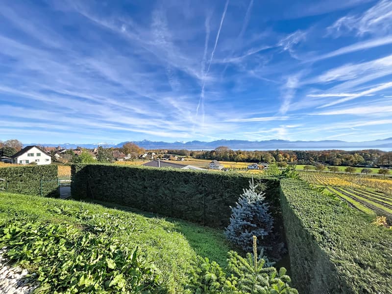 Magnifique villa à la vue imprenable sur le lac (3)