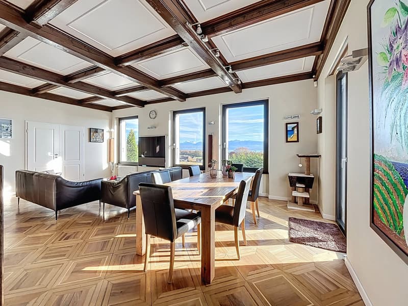 Magnifique villa à la vue imprenable sur le lac (6)