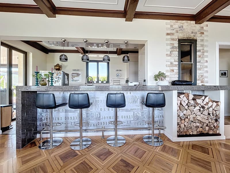 Magnifique villa à la vue imprenable sur le lac (7)