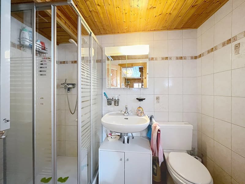 Ancien mazot transformé en chalet (9)