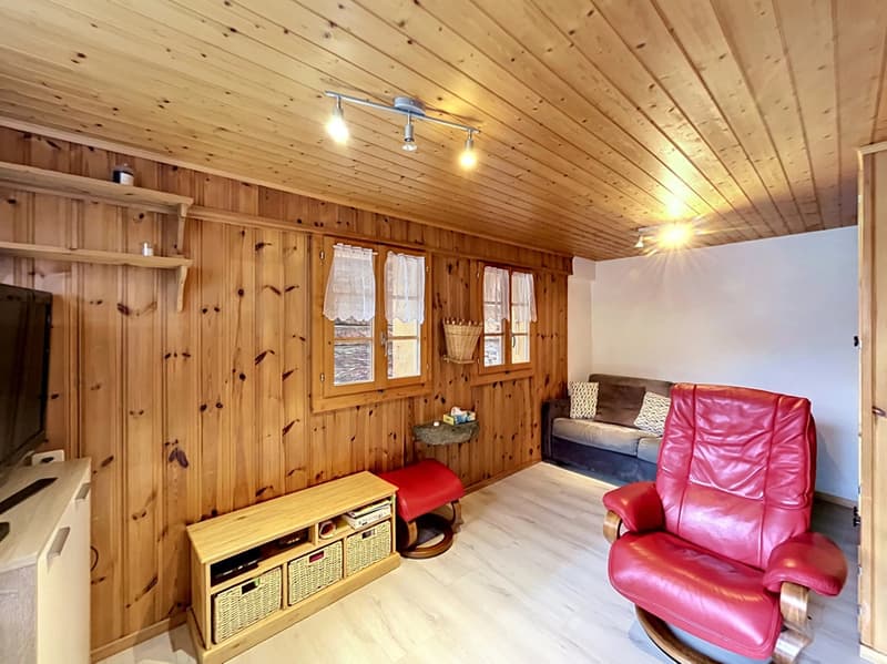 Ancien mazot transformé en chalet (6)