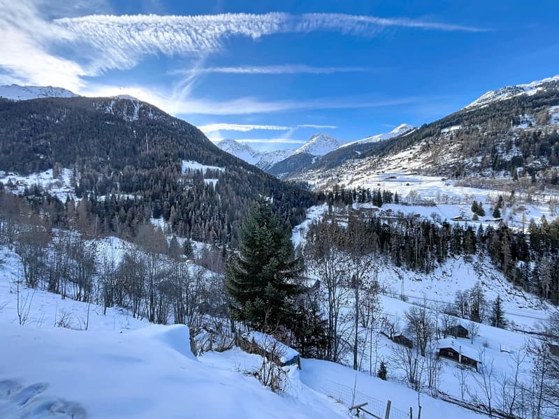 Chalet canadien en rondins avec deux appartements et vue imprenable (5)