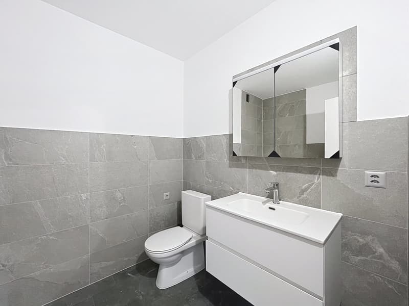 Bel appartement de 2 pièces à proximité du centre-ville (11)