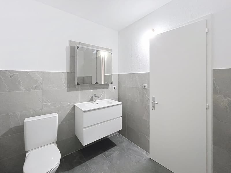 Bel appartement de 2 pièces à proximité du centre-ville (12)