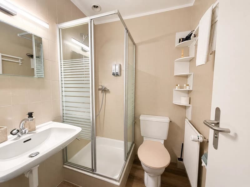 Établissement mixte avec partie hôtelière, restauration et appartement indépendant à Bourg-St-Pierre (7)