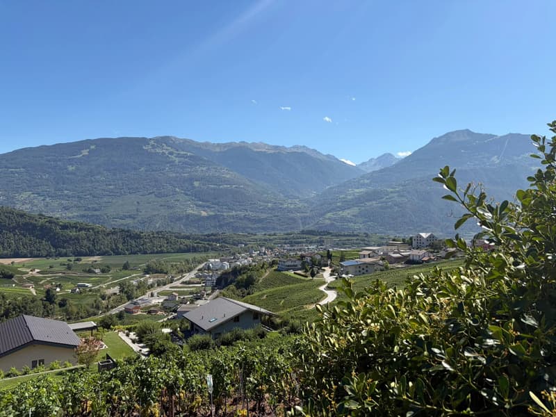 Duplex de 5,5 pièces avec grande terrasse sur les coteaux de Conthey (6)