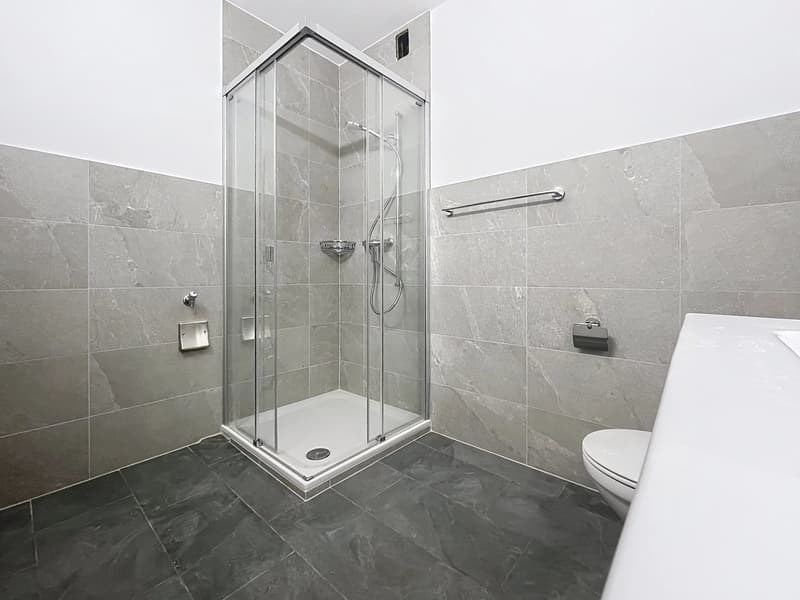 Bel appartement de 2 pièces à proximité du centre-ville (11)